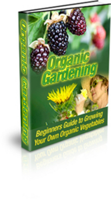 Product picture The Best Organic Vegetable Gardening Book